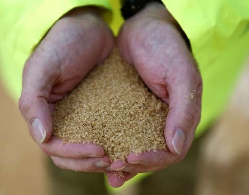 Açúcar: Produção da Índia atinge 7,05 mi de t até 15 de dez, alta de 2,1% 