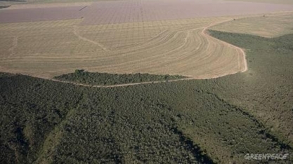Desmatamento do Cerrado cai para mínima recorde em 2018