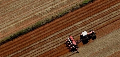 Soja avança sobre cana e pastagens em Mato Grosso do Sul 