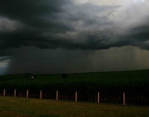 Além de soja, chuva irregular também leva preocupação à safra de cana