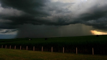 Além de soja, chuva irregular também leva preocupação à safra de cana