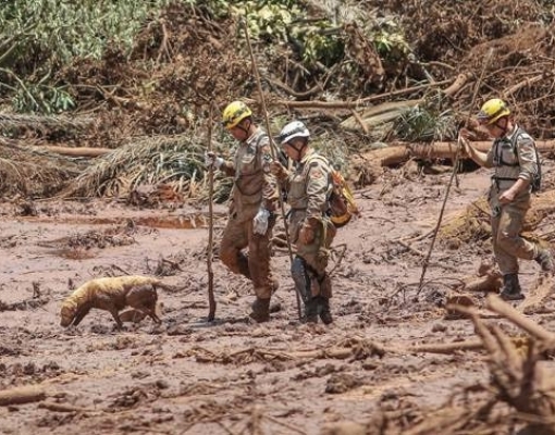 Em Brumadinho, a tragédia humana supera a ambiental – Por Xico Graziano