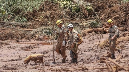 Em Brumadinho, a tragédia humana supera a ambiental – Por Xico Graziano