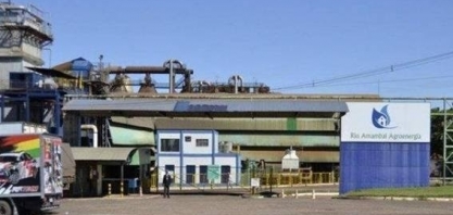 MS: Usina é investigada por contaminar rio e causar morte de peixes
