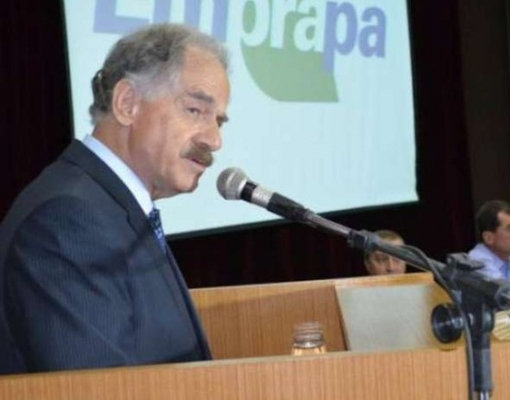 Sebastião Barbosa corre risco na presidência da Embrapa