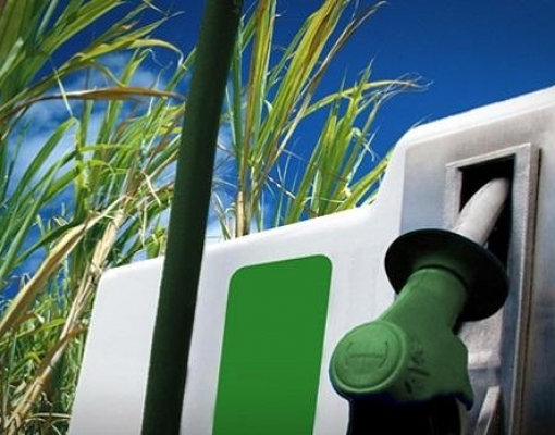 Etanol:Retomada de crescimento em 2019 pode elevar demanda por combustível