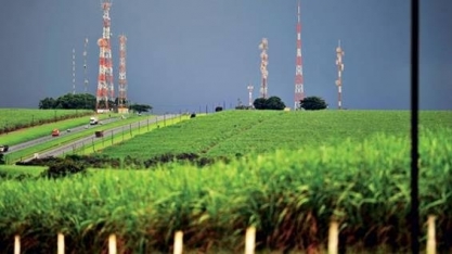 TIM fecha parceria com Adecoagro para levar IoT ao campo