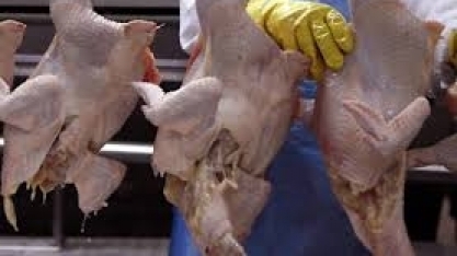 Exportação de carne de frango do Brasil cai 5,1% em 2018, diz ABPA 