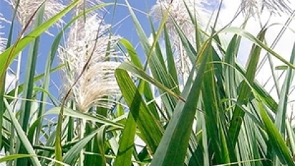 ATR SP: valor acumulado sobe 0,40% em dezembro  