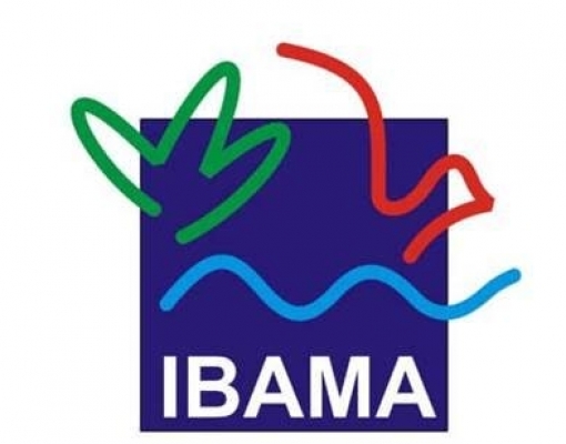 Bancada ruralista quer murchar Ibama por dentro