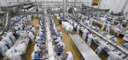 Ministra promete introduzir auto-controle em inspeção de frigoríficos