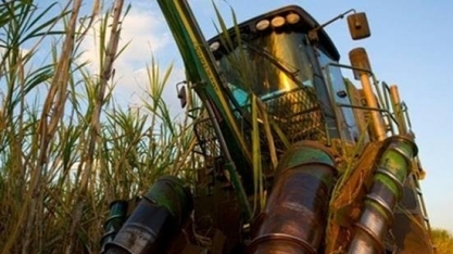 MS: Usinas já moeram 46,4% mi de t de cana na safra 2018/19 