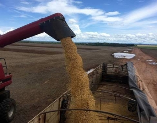 Soja dribla estimativas em 2018 e deve dificultar previsões em 2019