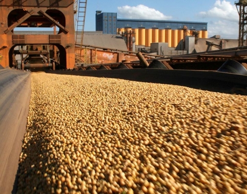 Exportação de soja inicia ano com média diária 70,6% maior 