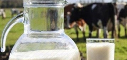 Leite: Greve dos caminhoneiros e indústria elevam preços em 2018