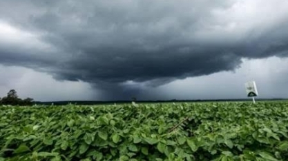 Chuvas: Rio Grande do Sul tem perdas de mais de R$770 mi em soja e arroz