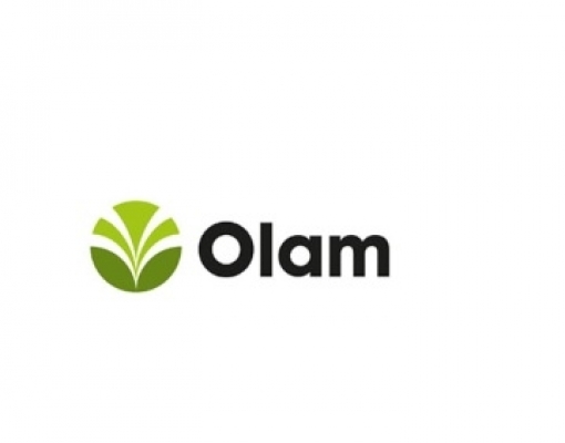 Olam International acabará com operação de comércio de açúcar 