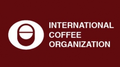 Exportação global de café cresce 12,7% em novembro, diz OIC