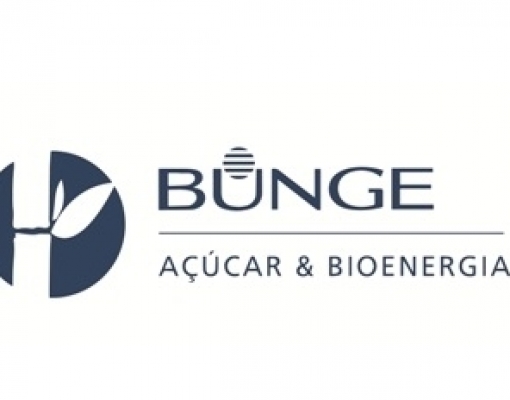Bunge destina 70% da sua cana-de-açúcar cana para produzir etanol