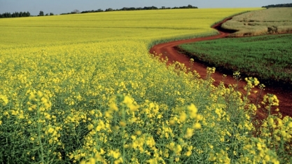 Agricultura sim, deveria ser o verdadeiro superministério