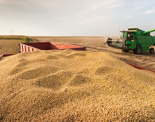 Abiove reduz previsão de safra de soja e de exportação do Brasil em 2019