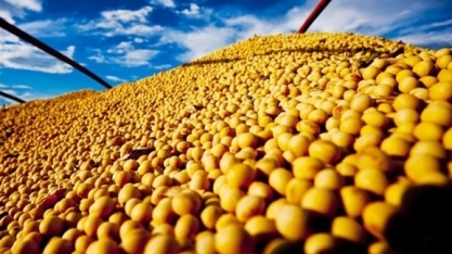Exportação do agronegócio tem recorde de US$101,7 bi em 2018 com China