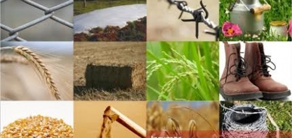 Insumo Pecuário: 2018 é marcado por incertezas e instabilidade