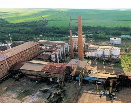 Cana: Falta de conhecimento no setor influenciou o fechamento de usinas