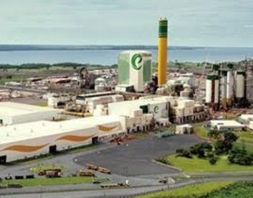 MS:Eldorado recebe licença ambiental para usina de biomassa em Três Lagoas