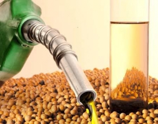 Brasil pode se tornar o maior produtor de biodiesel no mundo