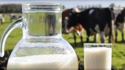 Mais do que taxar importação, País precisa ter agenda interna para o leite