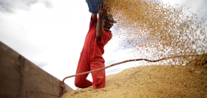 Produtor tem de considerar os prêmios de exportação nas negociações