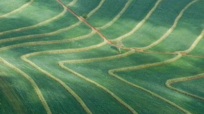 Argentina: Produção de grãos pode chegar a 200 mi de t em 2027