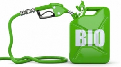 Biocombustíveis:Análise avançada do mercado e taxa de crescimento até 2025
