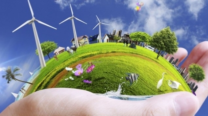  BP vê crescimento de energias renováveis nas próximas décadas no mundo 