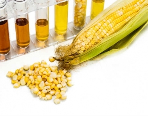 Etanol de milho vai gerar R$ 400 milhões em ICMS aos cofres de MT até 2020