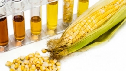 Etanol de milho vai gerar R$ 400 milhões em ICMS aos cofres de MT até 2020
