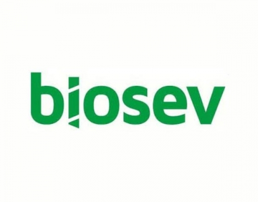 Prejuízo da Biosev aumenta 8,4% na safra 2018/19 até dezembro 