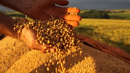 Conab corta previsão de safra de soja do Brasil em 3%, eleva de milho