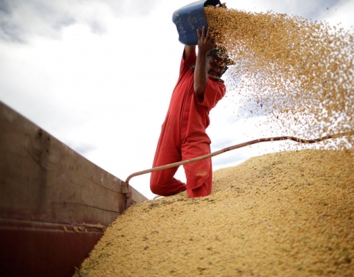 Brasil deve ter menor safra de soja em três anos, a 112,5 mi t