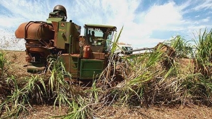 Setor de cana se recupera em AL depois da pior safra da história 