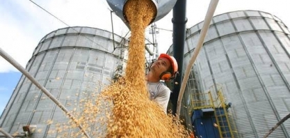 Seca severa prejudica safra de soja do País