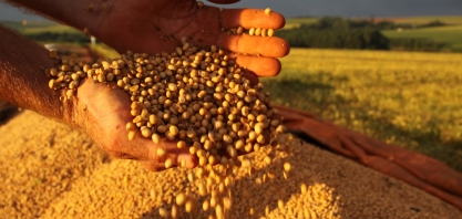 Exportação de soja na 1ª quinzena do mês já supera volume de janeiro