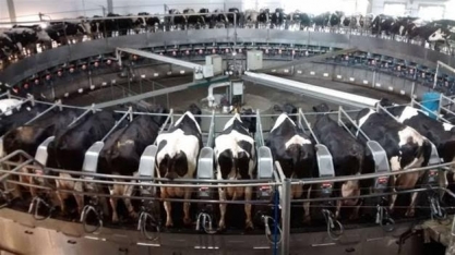 Leite: Problema causado pelo fim da taxa antidumping está resolvido