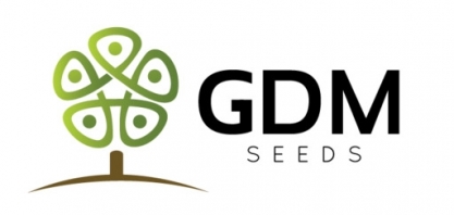 GDM assume liderança em sementes de soja no País