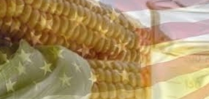 Sem taxação maior, etanol dos EUA ameaça a produção brasileira 