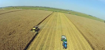 Agroconsult revisa safra de soja para 116,4 mi t; vê queda na exportação