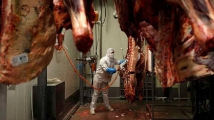 Países limitam importação de carne da Polônia após escândalo
