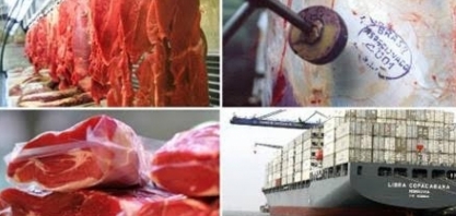 Exportação de proteína bovina sobe 2,9% em janeiro; frango e suína caem