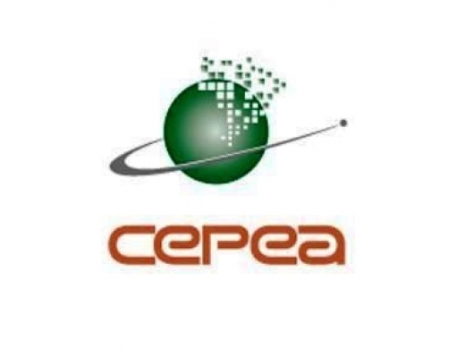 Etanol hidratado sobe 7,09% e anidro avança 3,59% nas usinas 